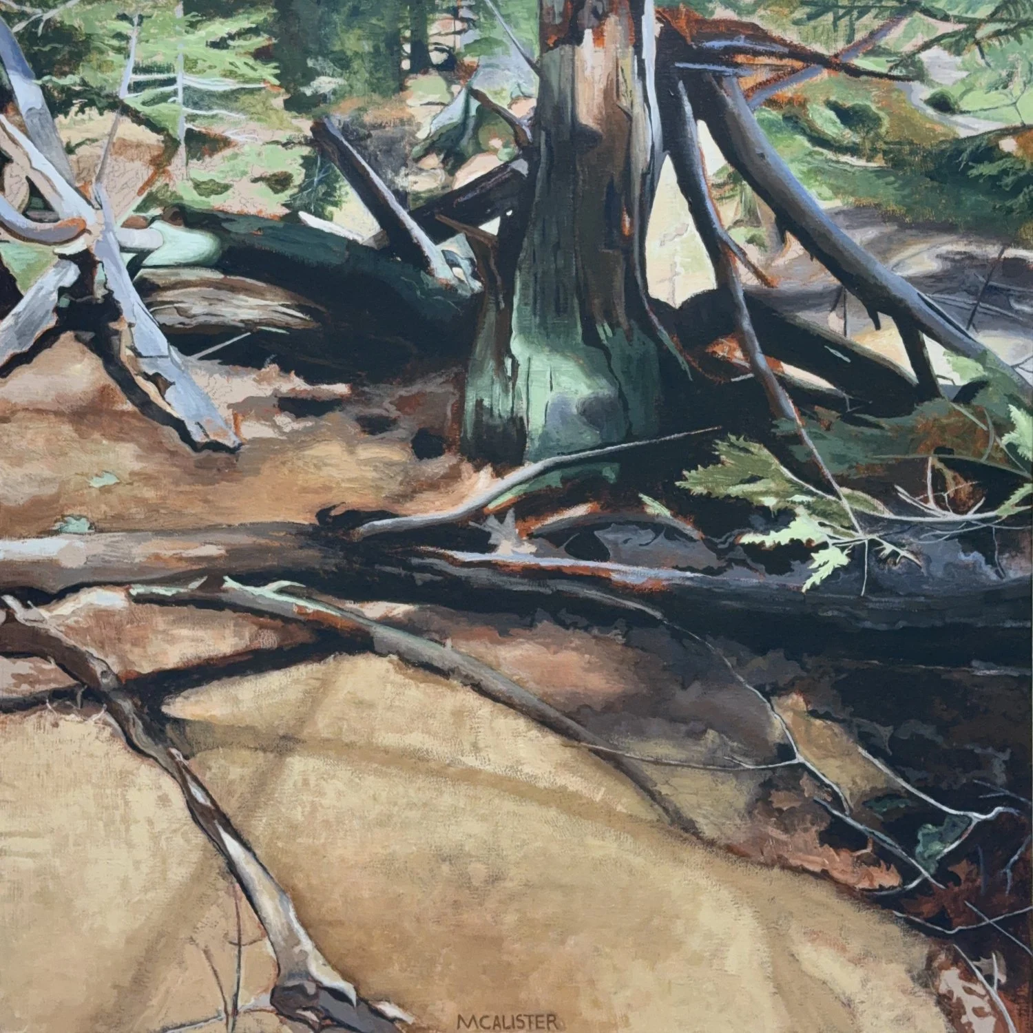 SPRING SNAG, ACRYLIC ON LINEN, 36" X 36"