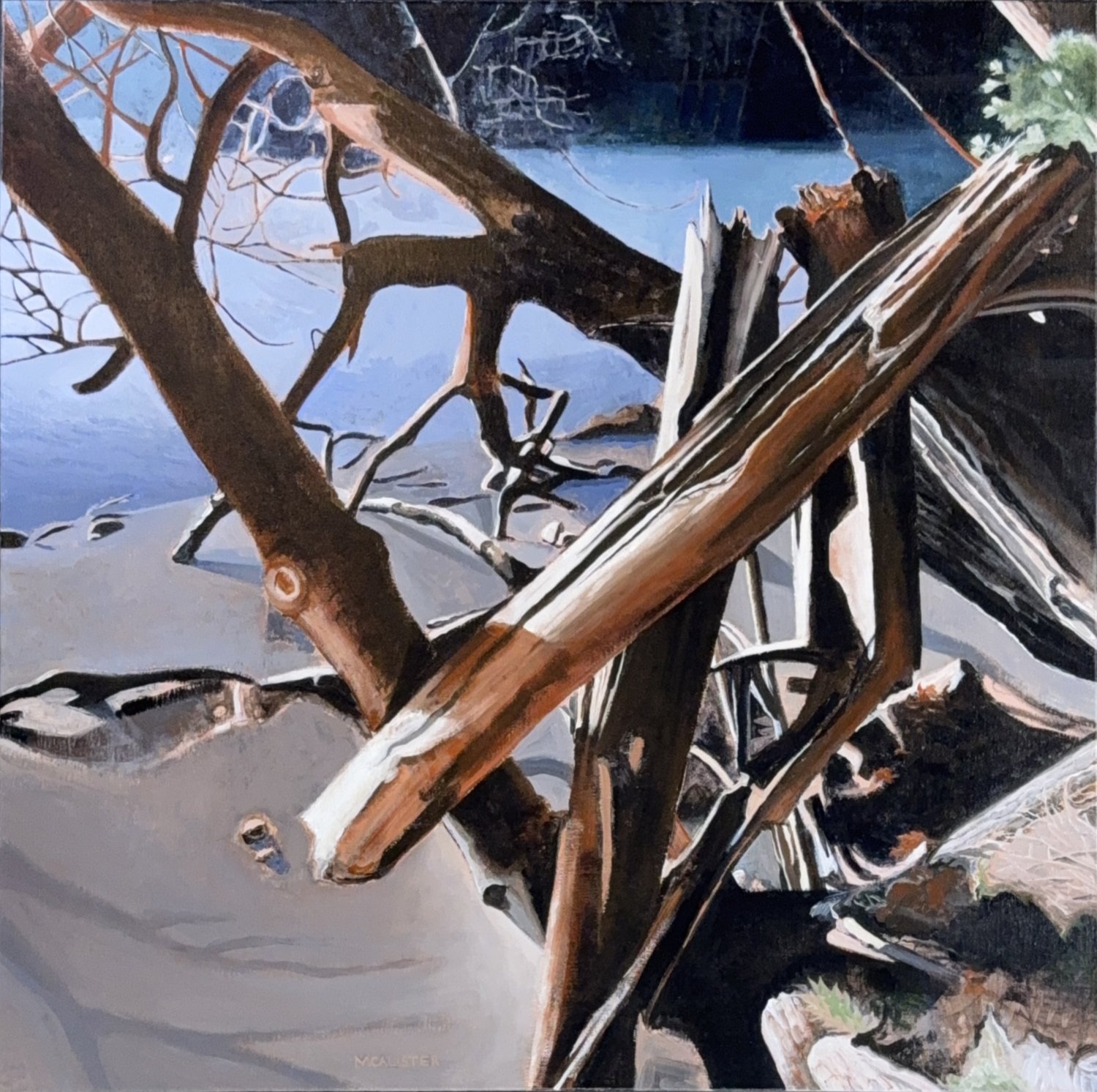 DEAD WOOD, ACRYLIC ON LINEN, 36" X 36" 