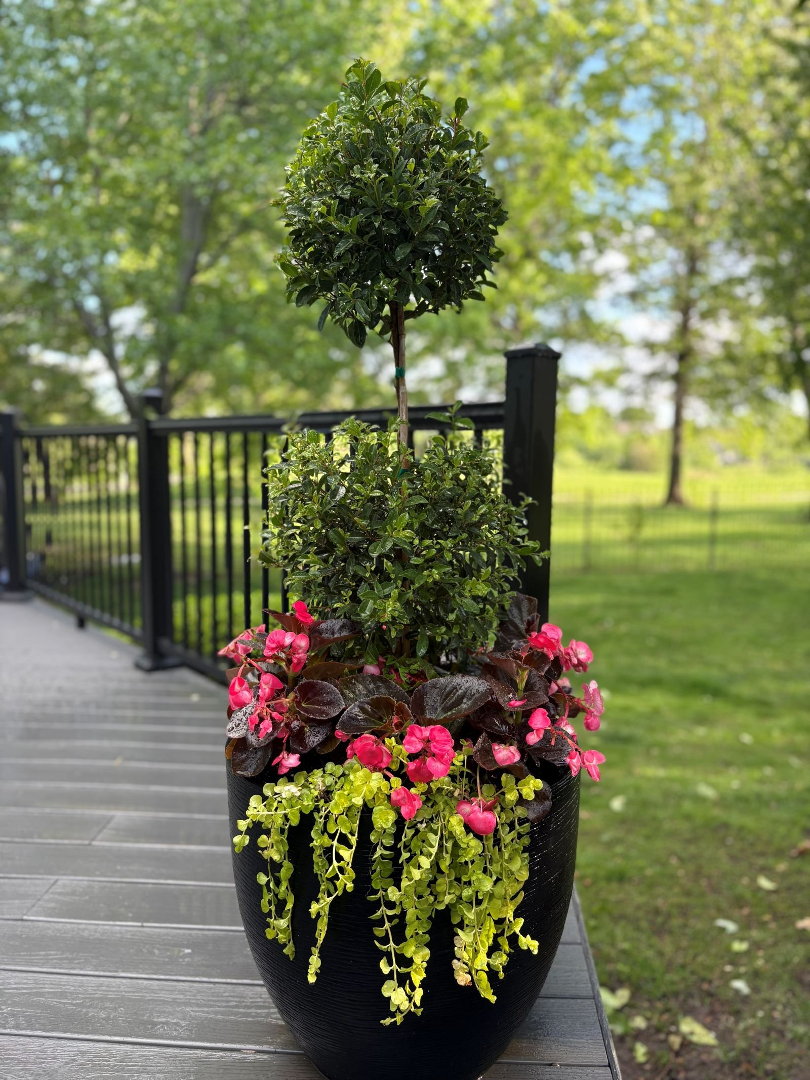 A large black flower pot with a three-tiered arrangement of plants and flowers on a wooden deck. The background features a green outdoor area with trees and a black fence.
