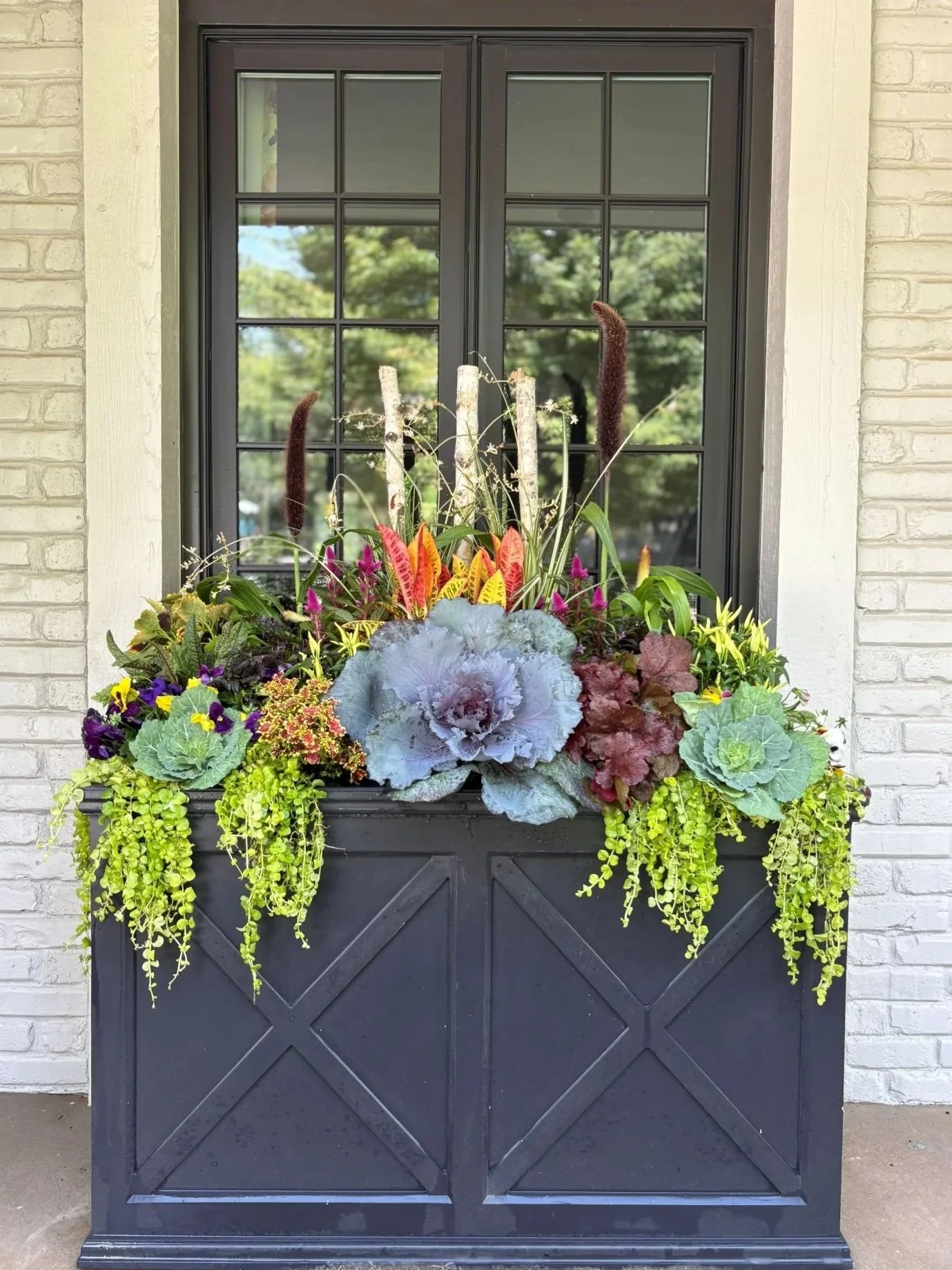 A black garden box filled with colorful autumn flowers and green trailing plants, mounted on a black door with a window, set in a brick wall.