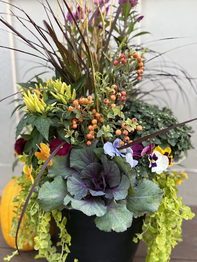 Fall 26 Add.jpg