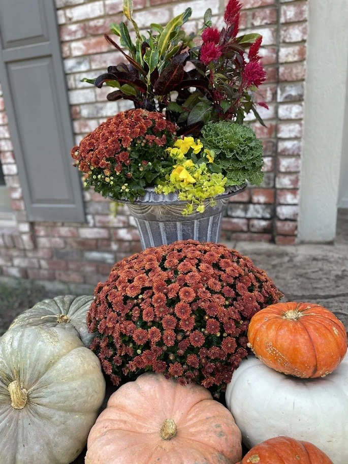 Beth Fall Burnt Orange.jpg