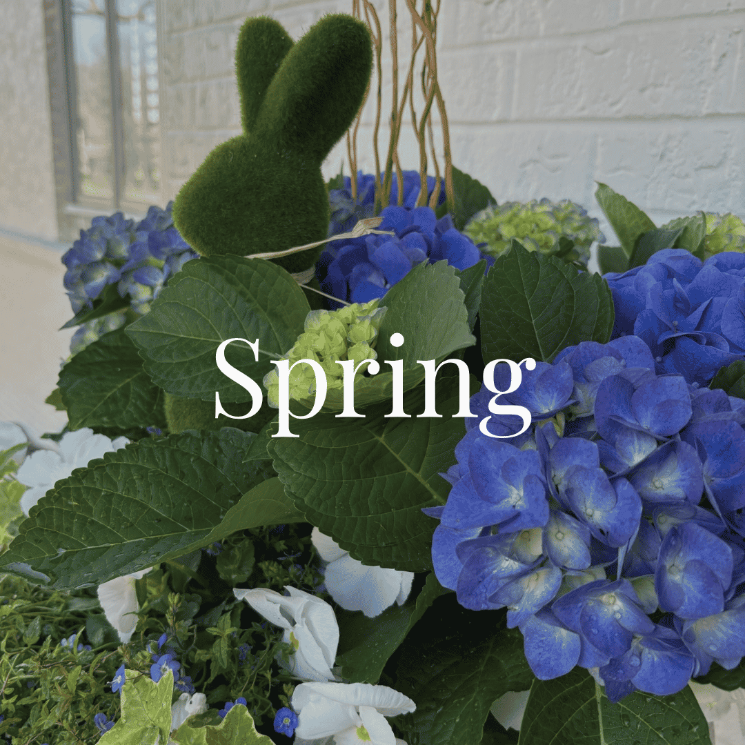 Spring.png