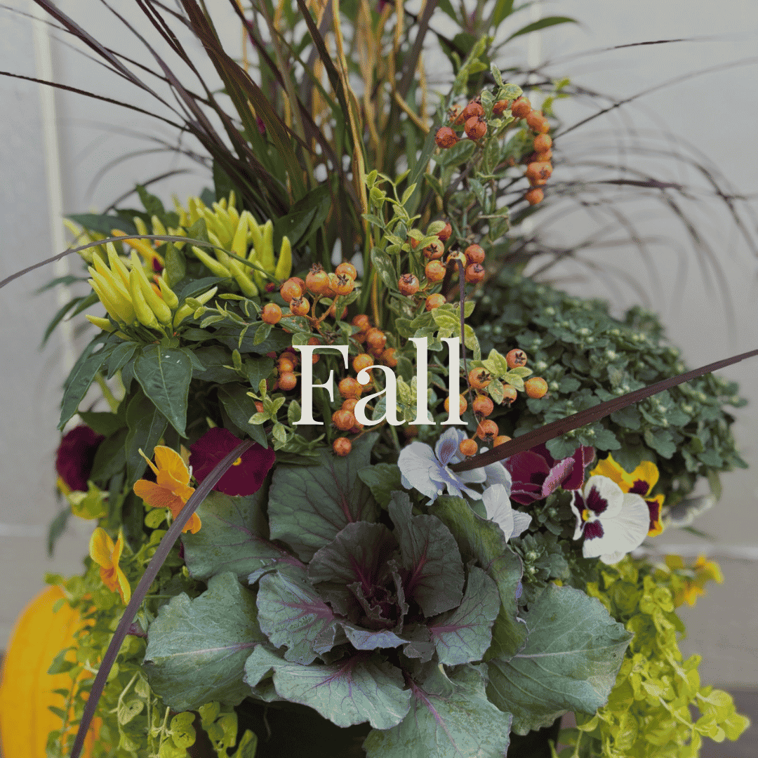 Fall.png