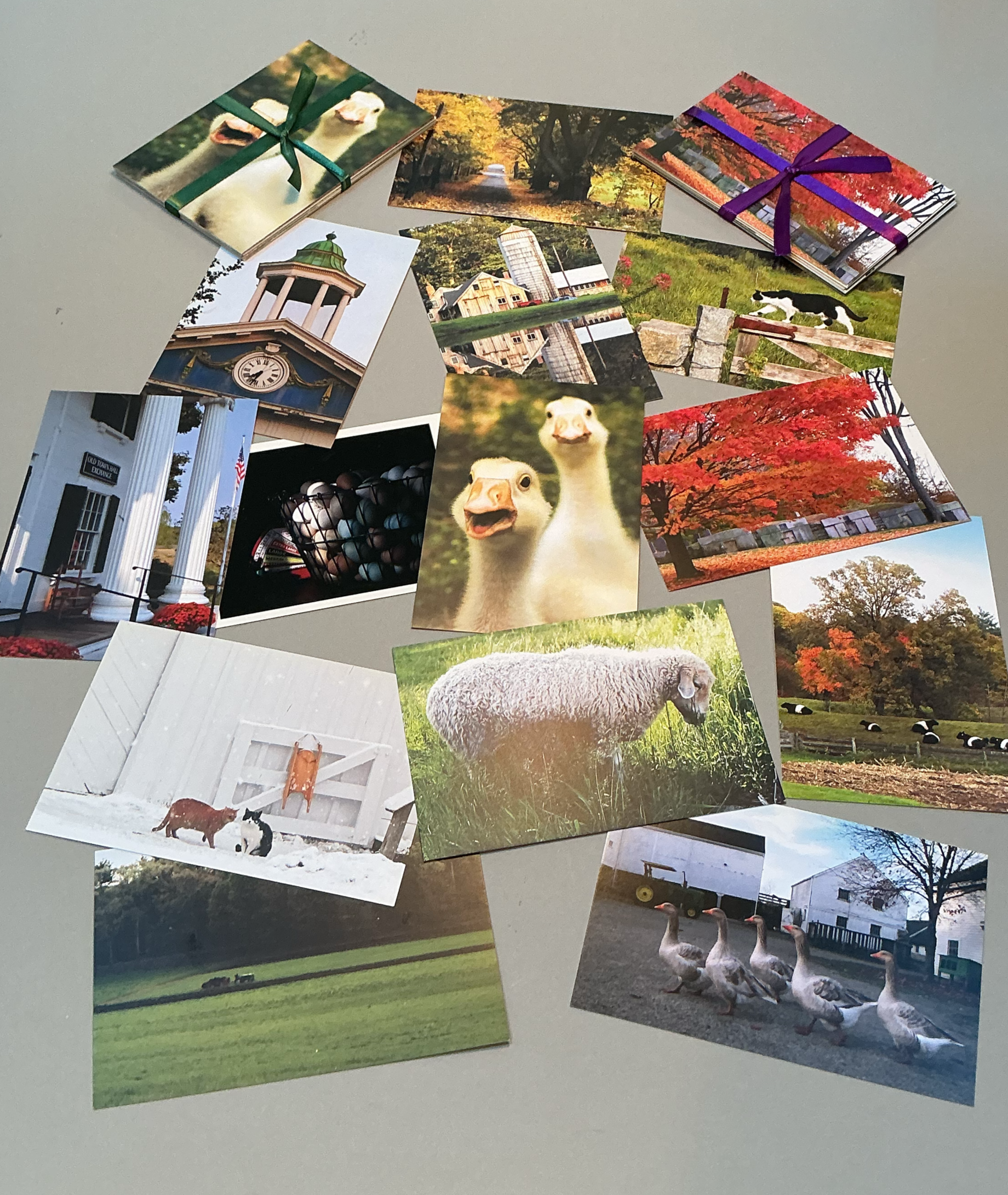 Collection+of+Ellen%27s+Postcards.1.png