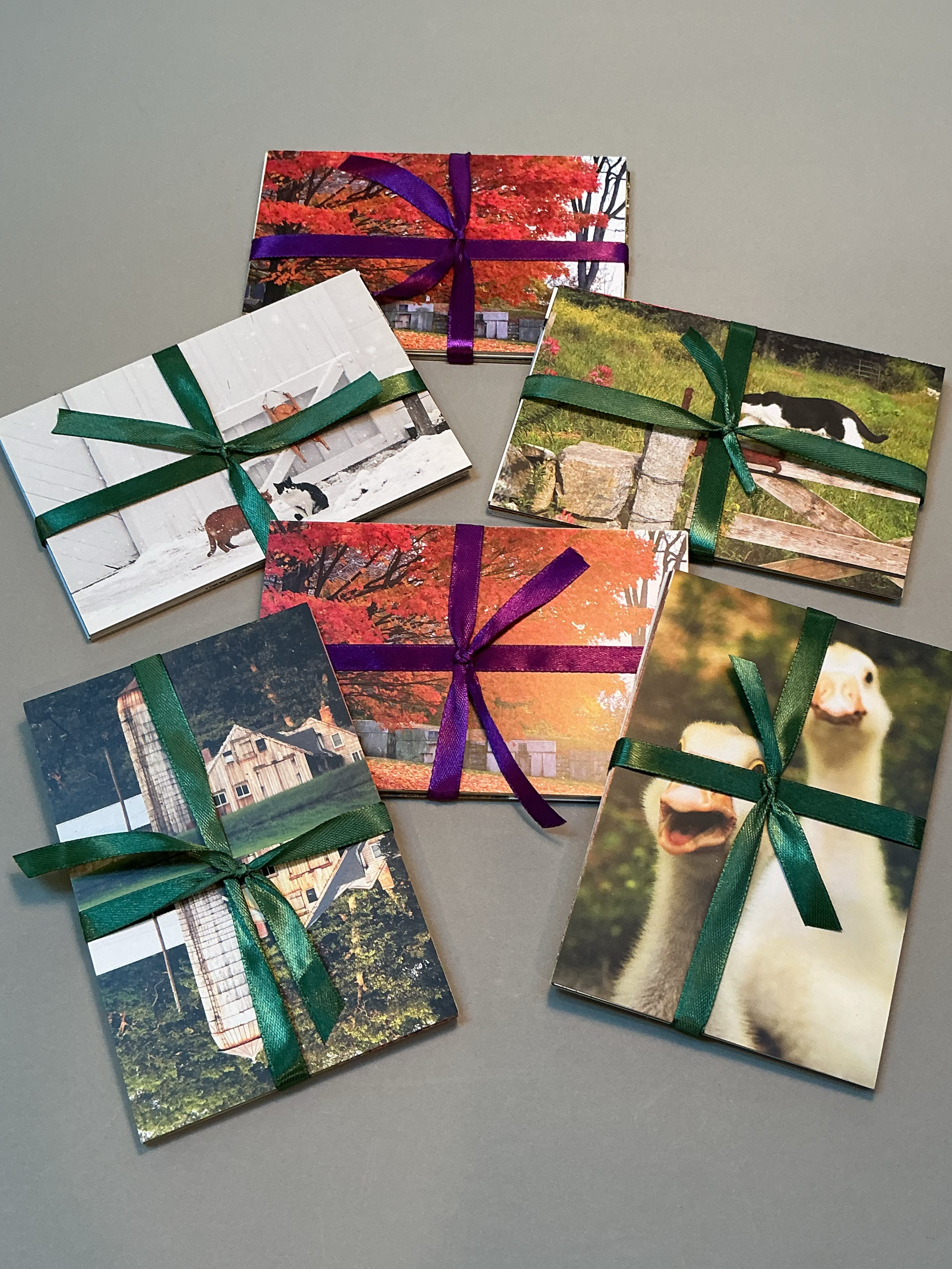 Collection+of+Ellen%27s+postcards.3.png