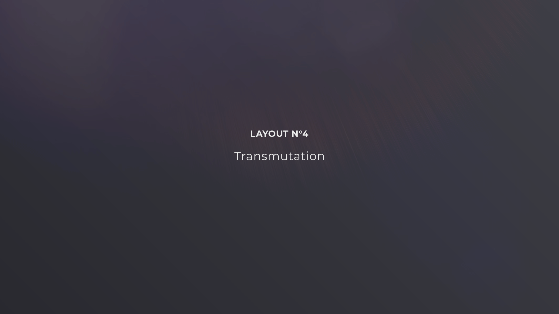 NS_0040_20.png