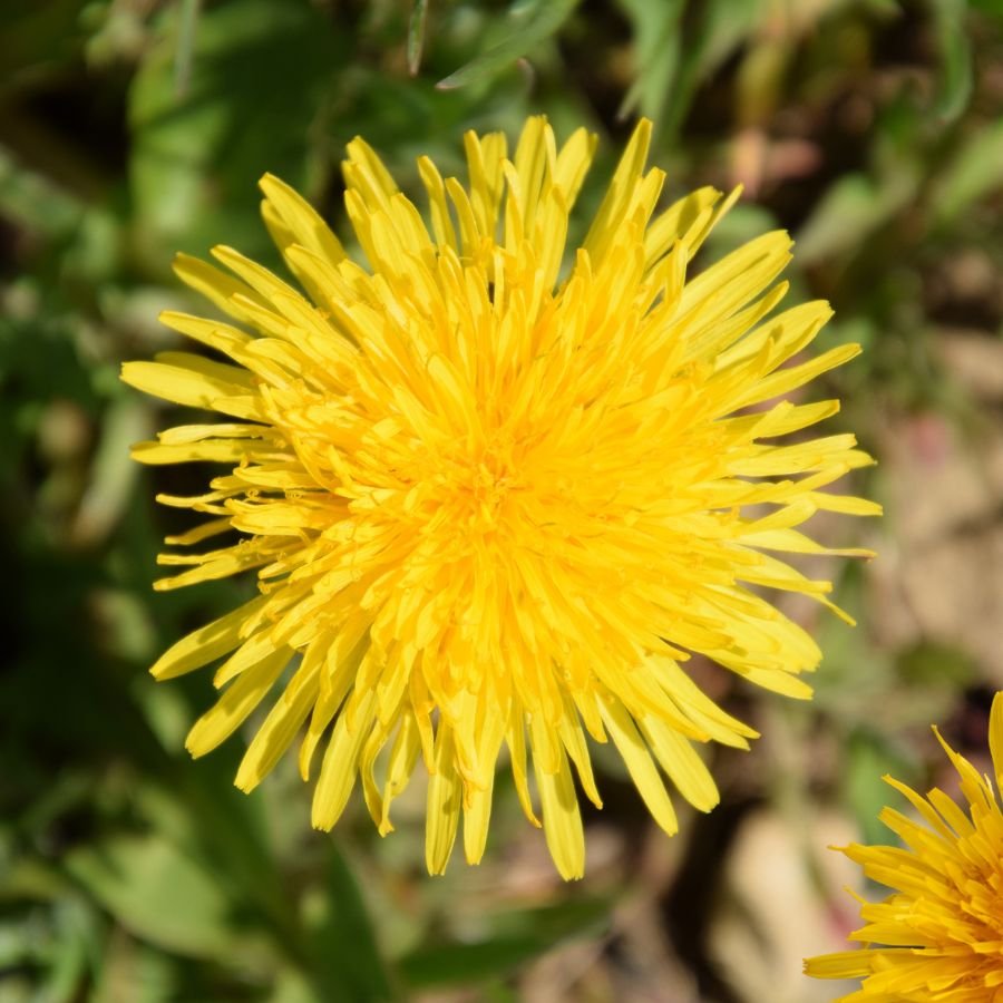 Untitled design-20.jpg