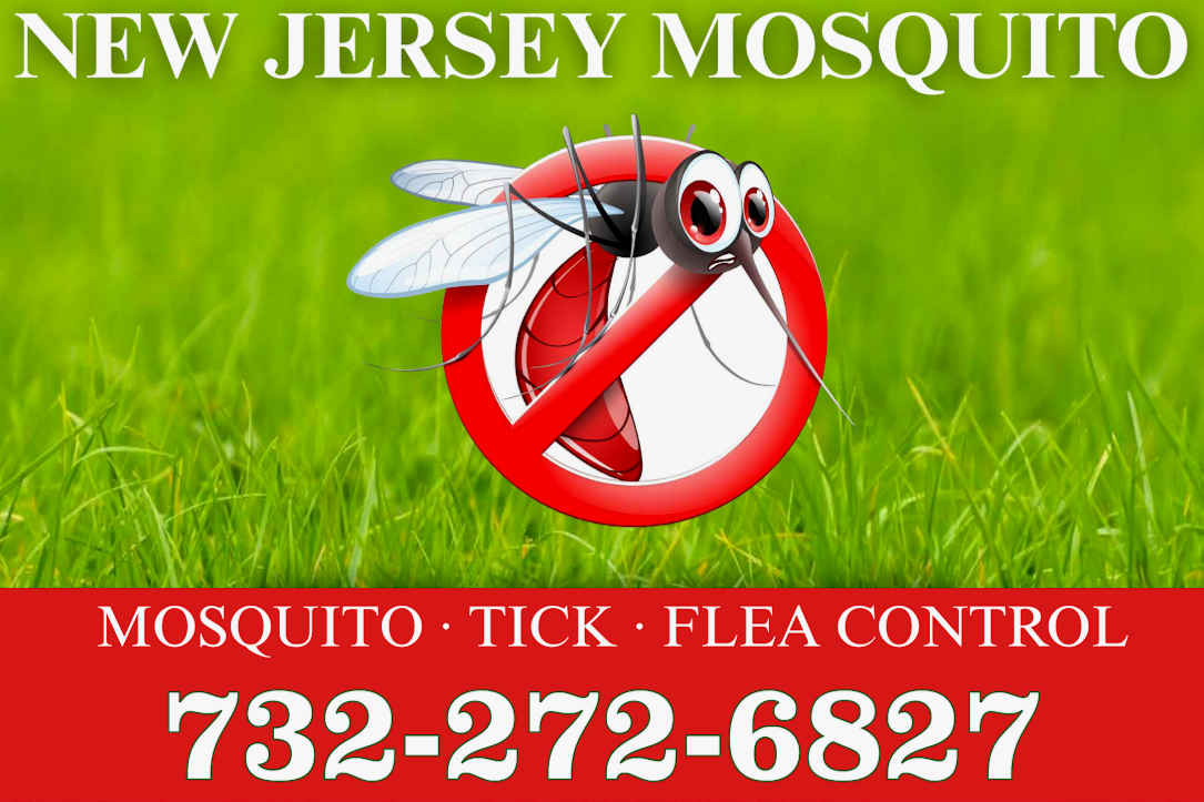 New Jersey Mosquito 