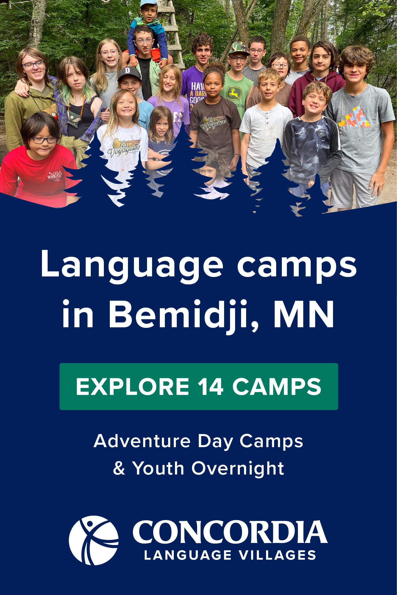 00528 Ads, Simpli.fi - CLV Bemidji Local_AdSet1_320x480 4.png