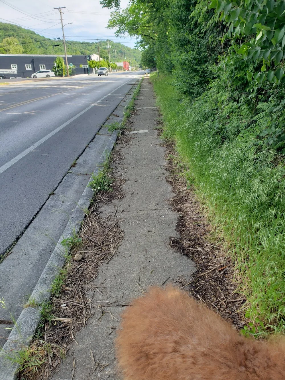 Join the 3rd Spring 2026 Safer Sidewalks Workday with the Hill City NA on North Market