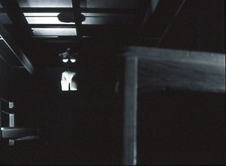 Tula - silver gelatin print 16"x20"