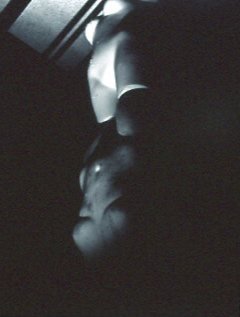 Calle - silver gelatin print 20"x16"