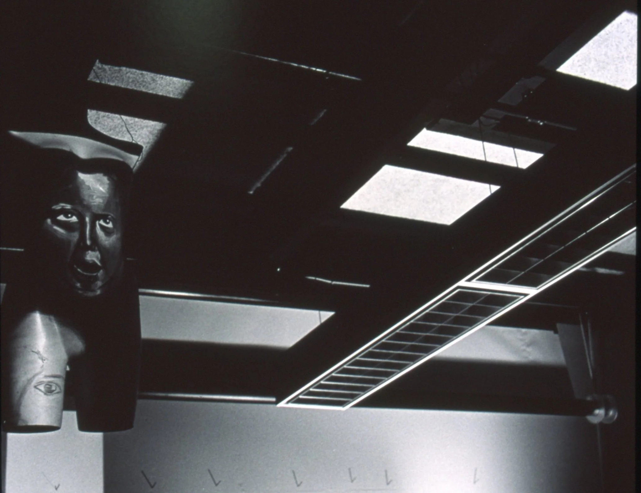 Not Irrelevant - silver gelatin print 16"x20"