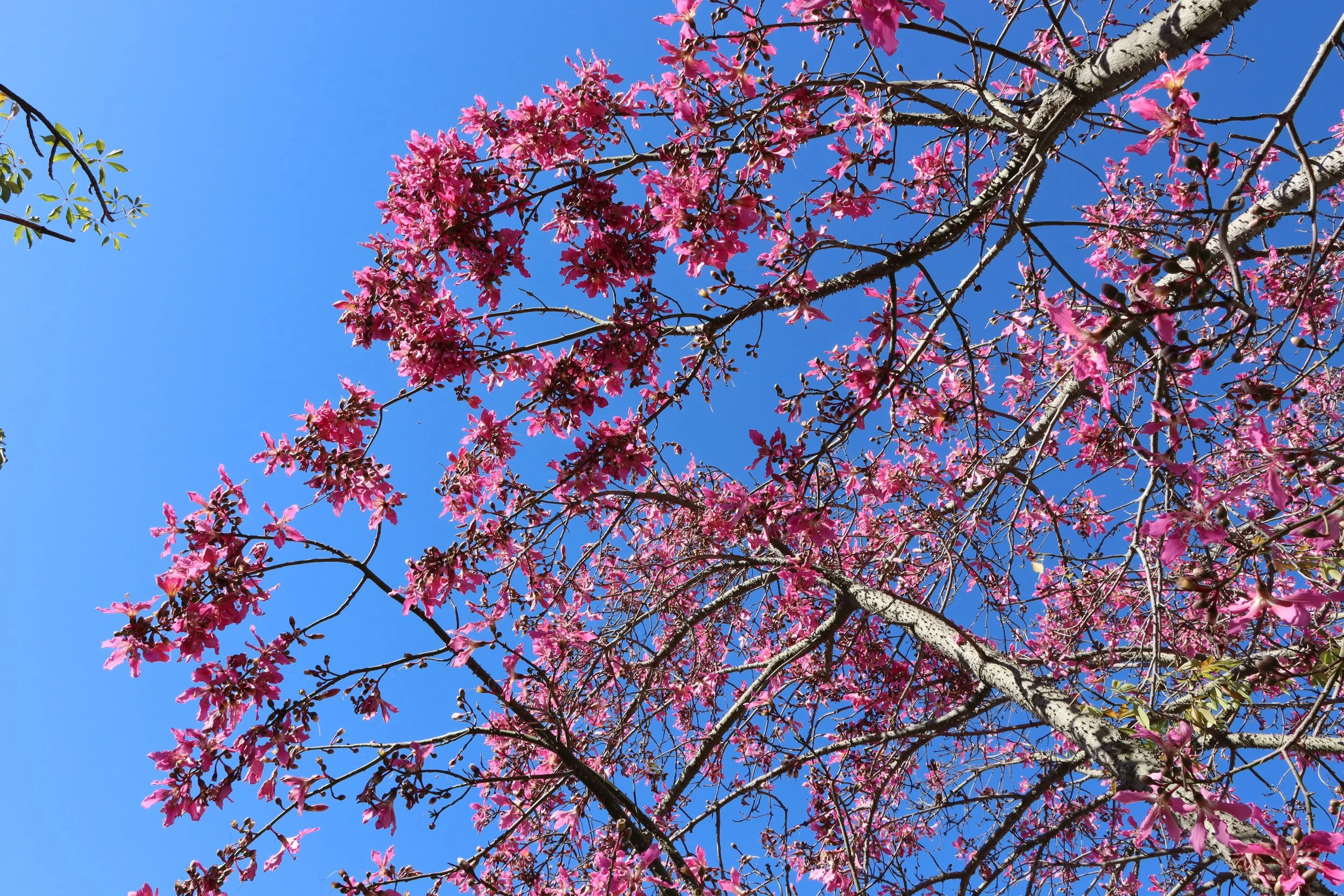 Patients in the Sun - Ink jet print 20"x16" 