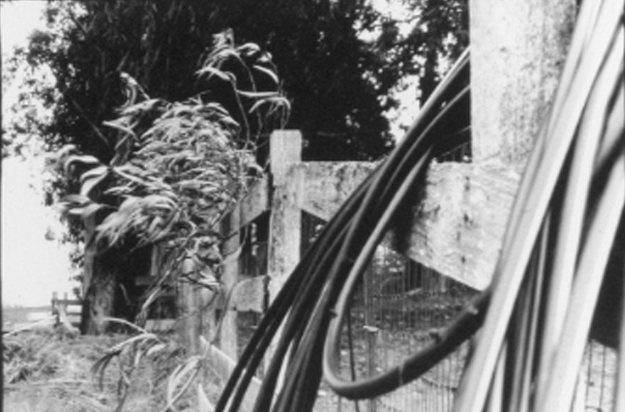 You Never Said Goodbye - Silver gelatin print 11"x14"