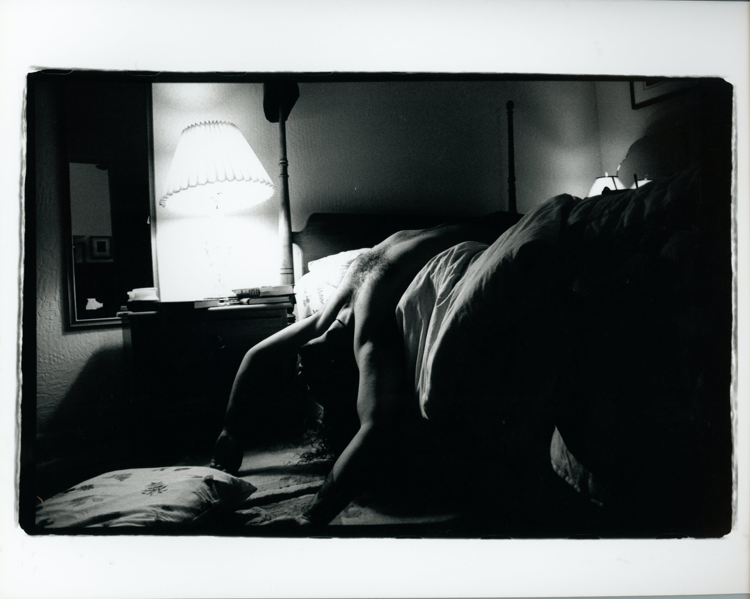 Stealing Hunny from the Wild - Silver gelatin print 20"x16"