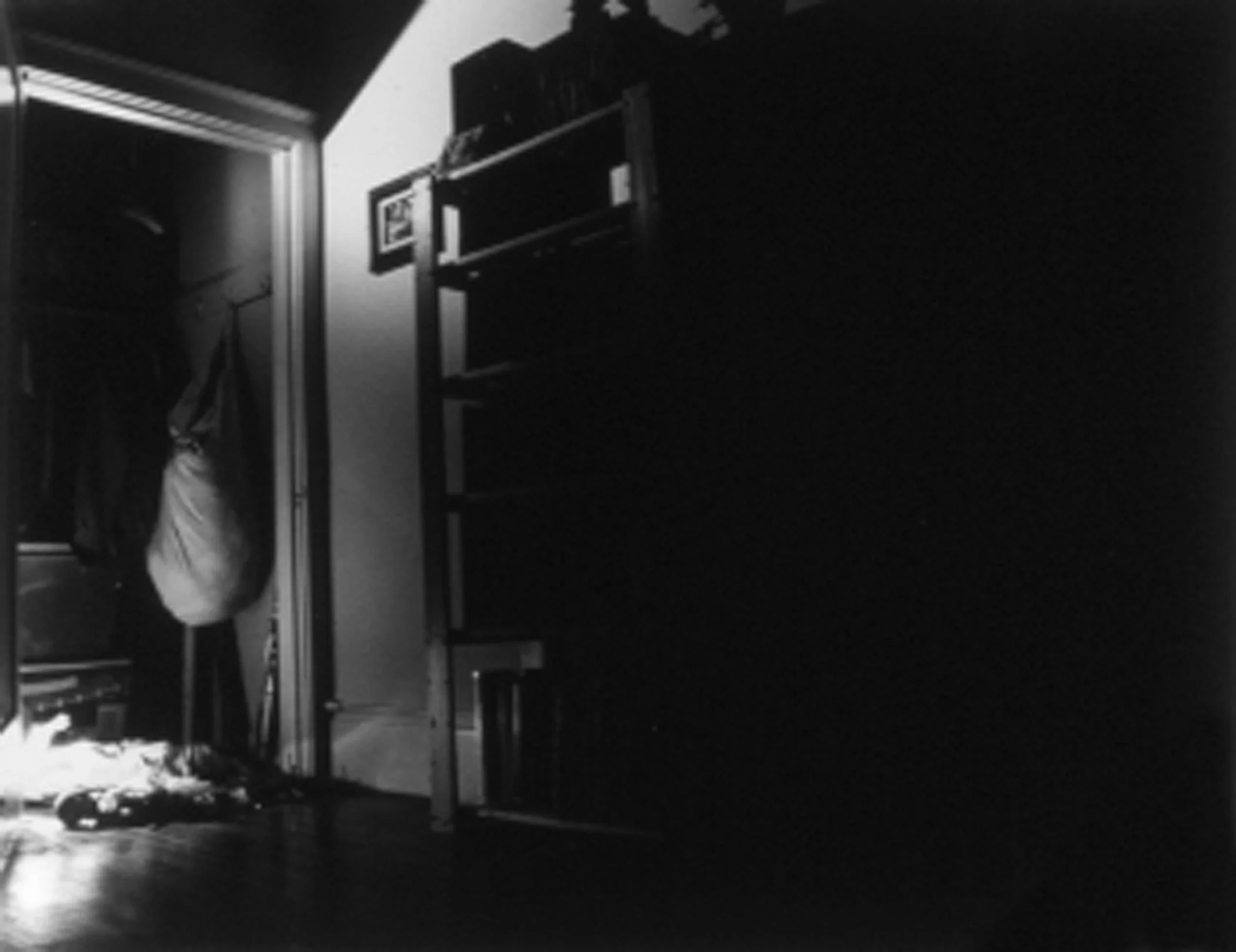 Protection While Hiding - Silver gelatin print 20"x16"