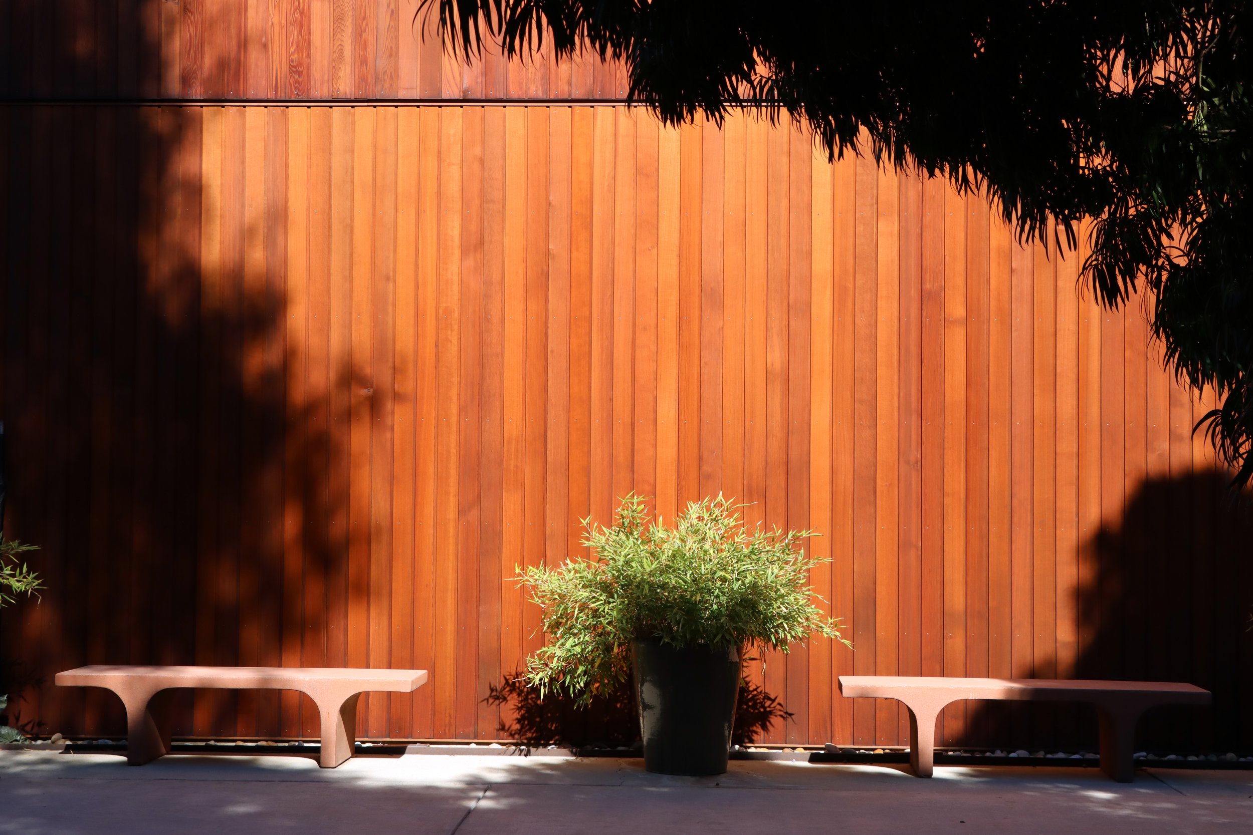 Late Last night - Ink jet print 20"x16" 