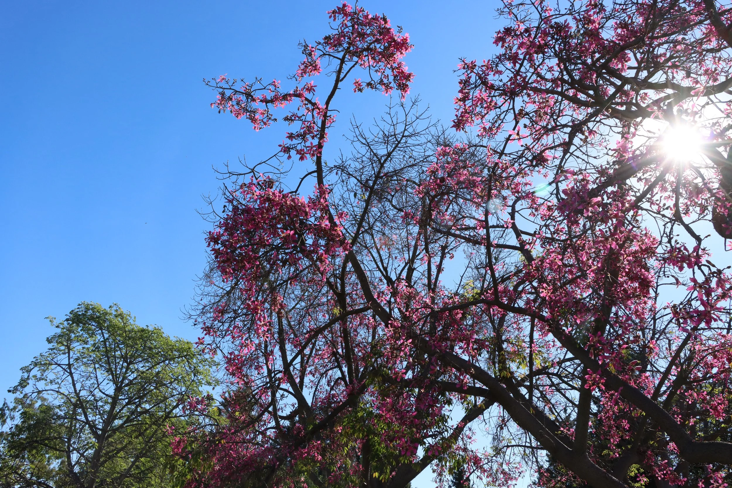 Pleasure of precision - Ink jet print 20"x16" 