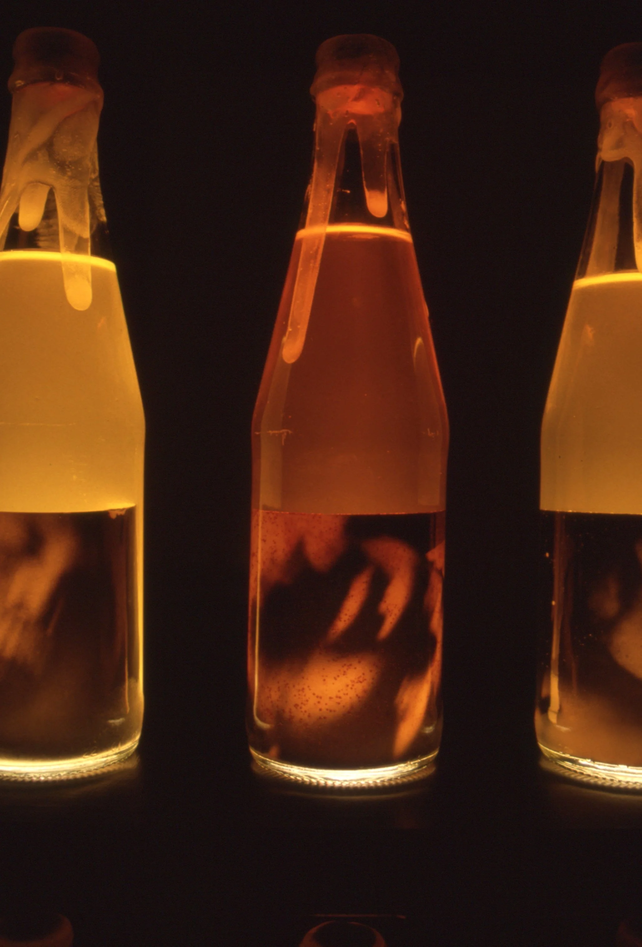 Dia de pago (detail) - silver gelatin print, urine, semen, latex, cork, wood 74"x32"x10"