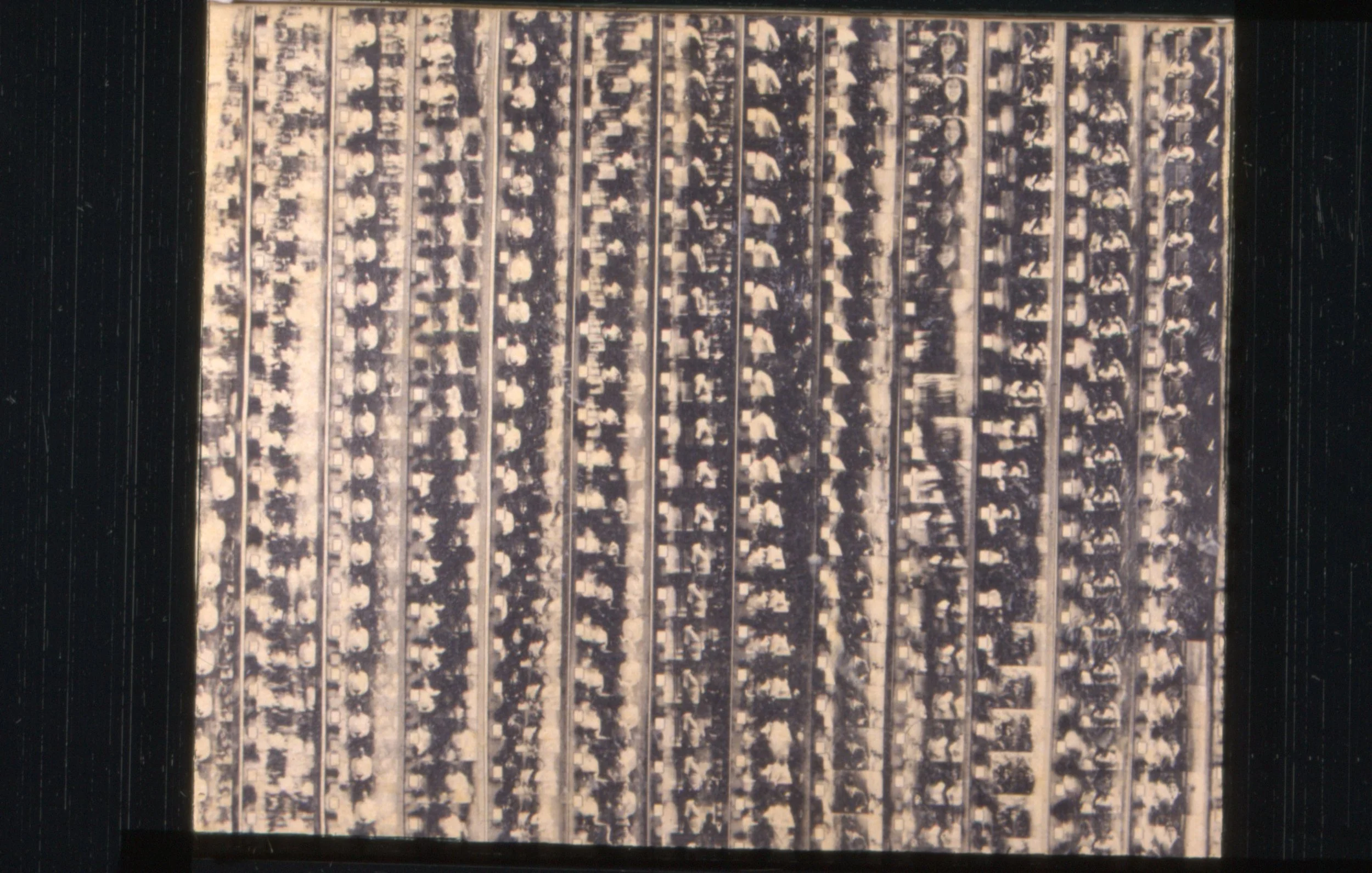 Tres minutos de vida (detail) - Canvas, liquid emulsion, latex, wood 32"x40"