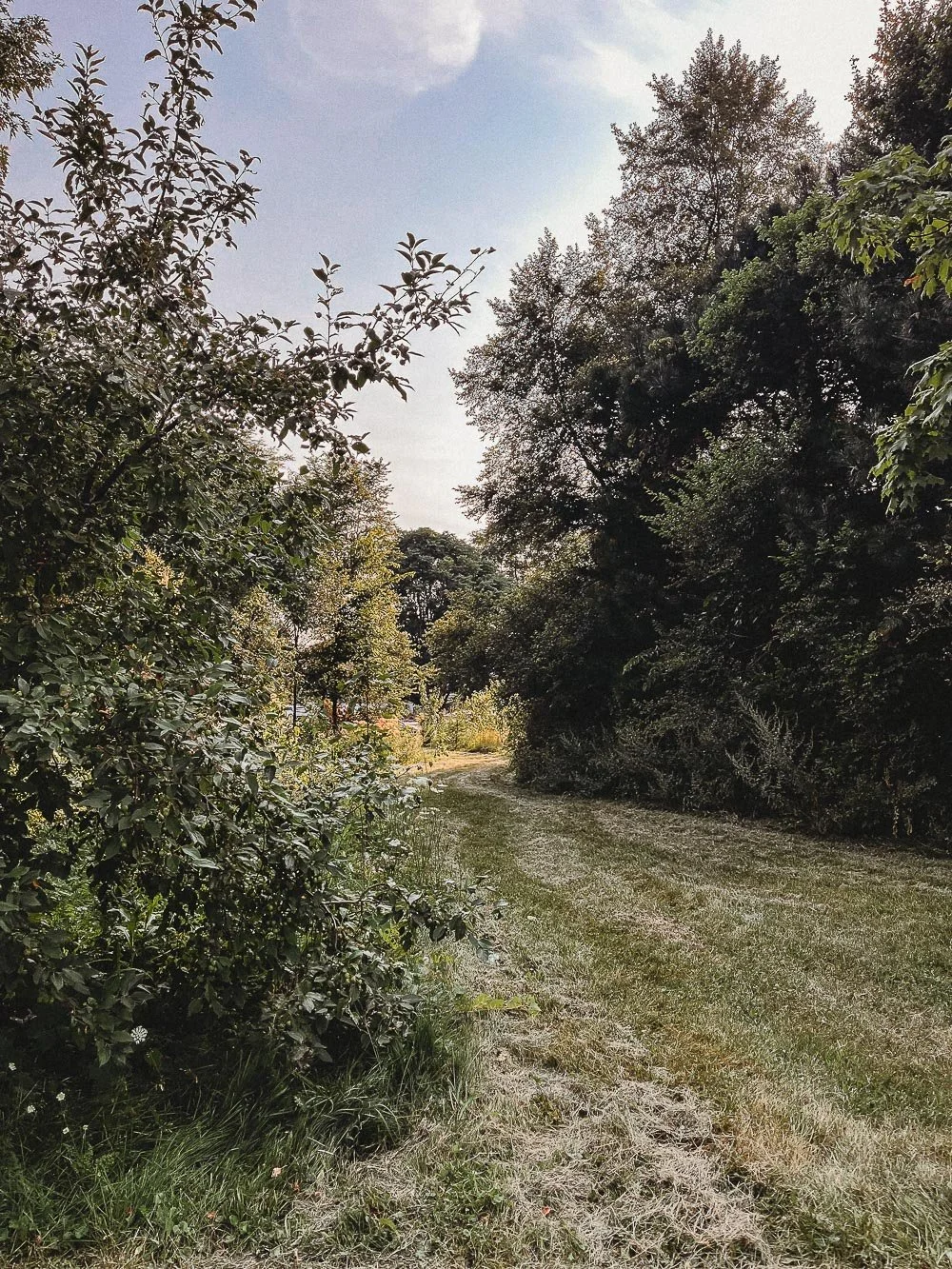 Jen Blanco Photography_Parc Félix-Leclerc-1.jpg