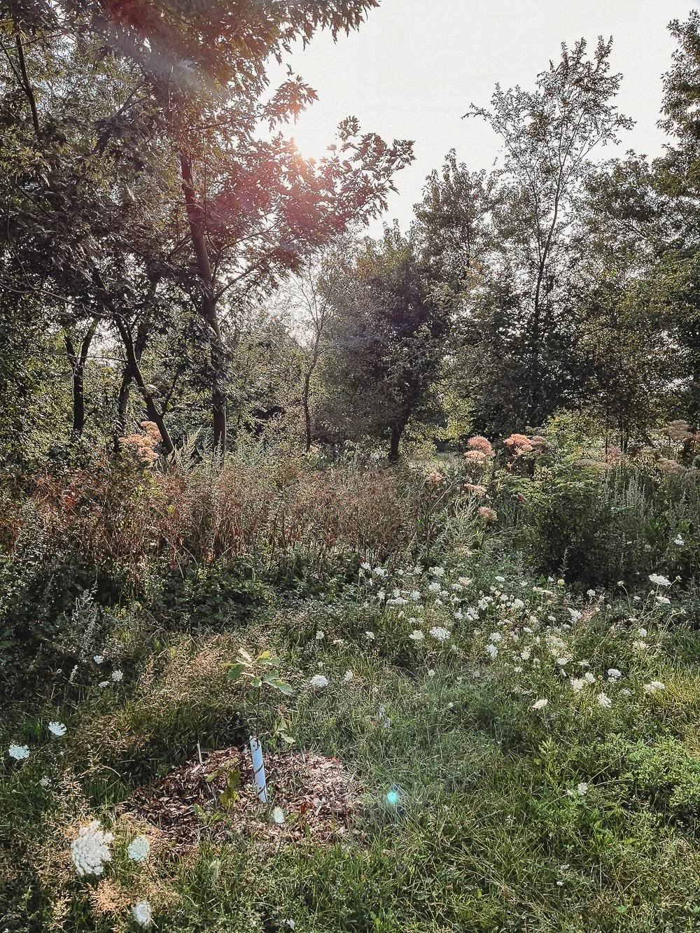 Jen Blanco Photography_Parc Félix-Leclerc-2.jpg