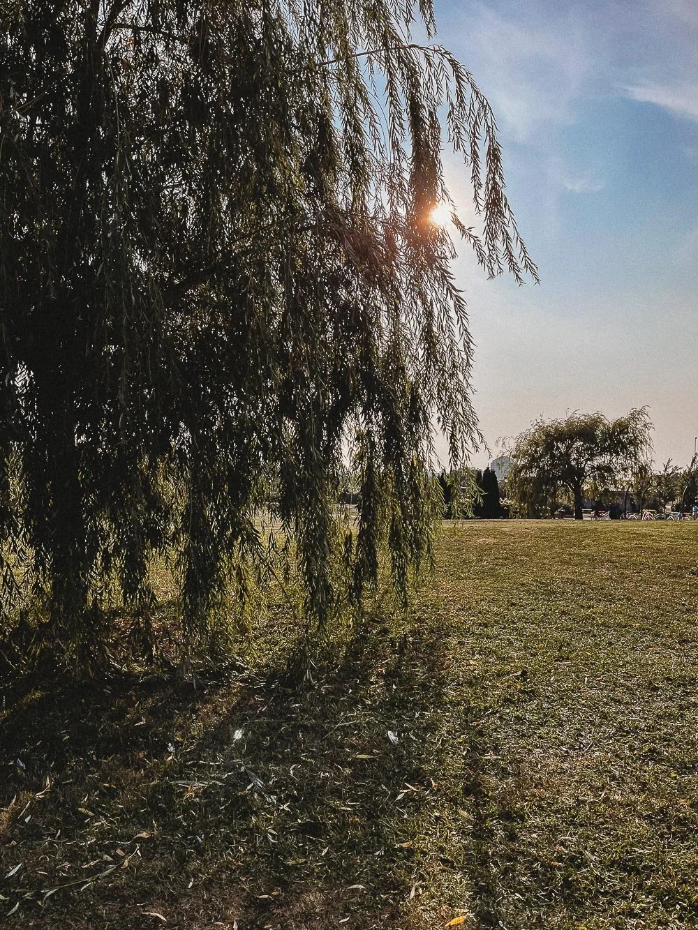 Jen Blanco Photography_Parc Félix-Leclerc-3.jpg