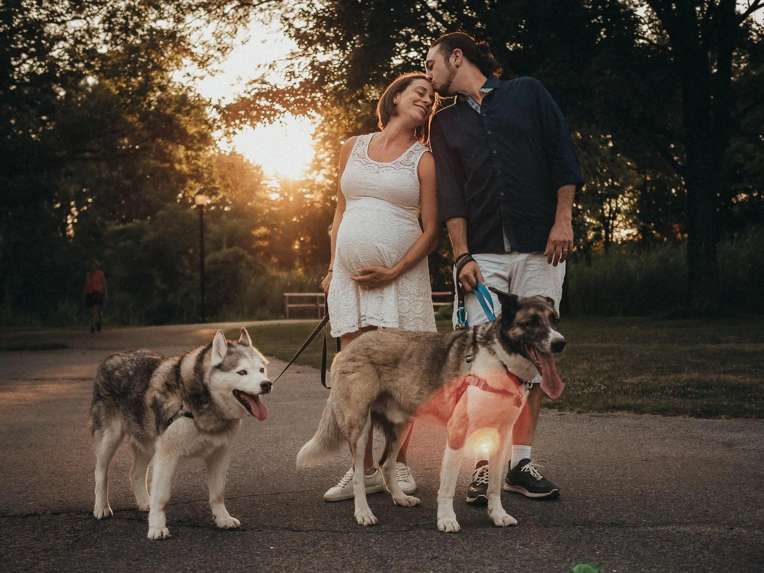 A pregnant woman and a man stand together on a park path during sunset, sharing a kiss while holding hands. She is wearing a white lace dress, and he is dressed in a dark shirt and shorts. They are accompanied by two dogs, a husky and a shepherd mix, both on leashes, with the shepherd mix wearing a harness. The background includes trees and a person jogging in the distance.