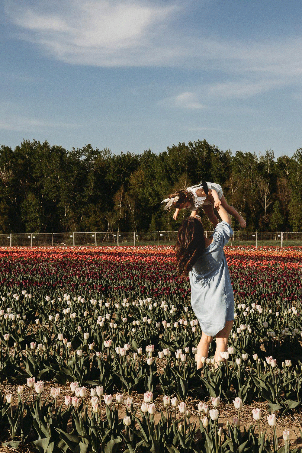 Jen-Blanco-Photography_Family_Laval-Tulip-Field-2025_GIF-4.gif