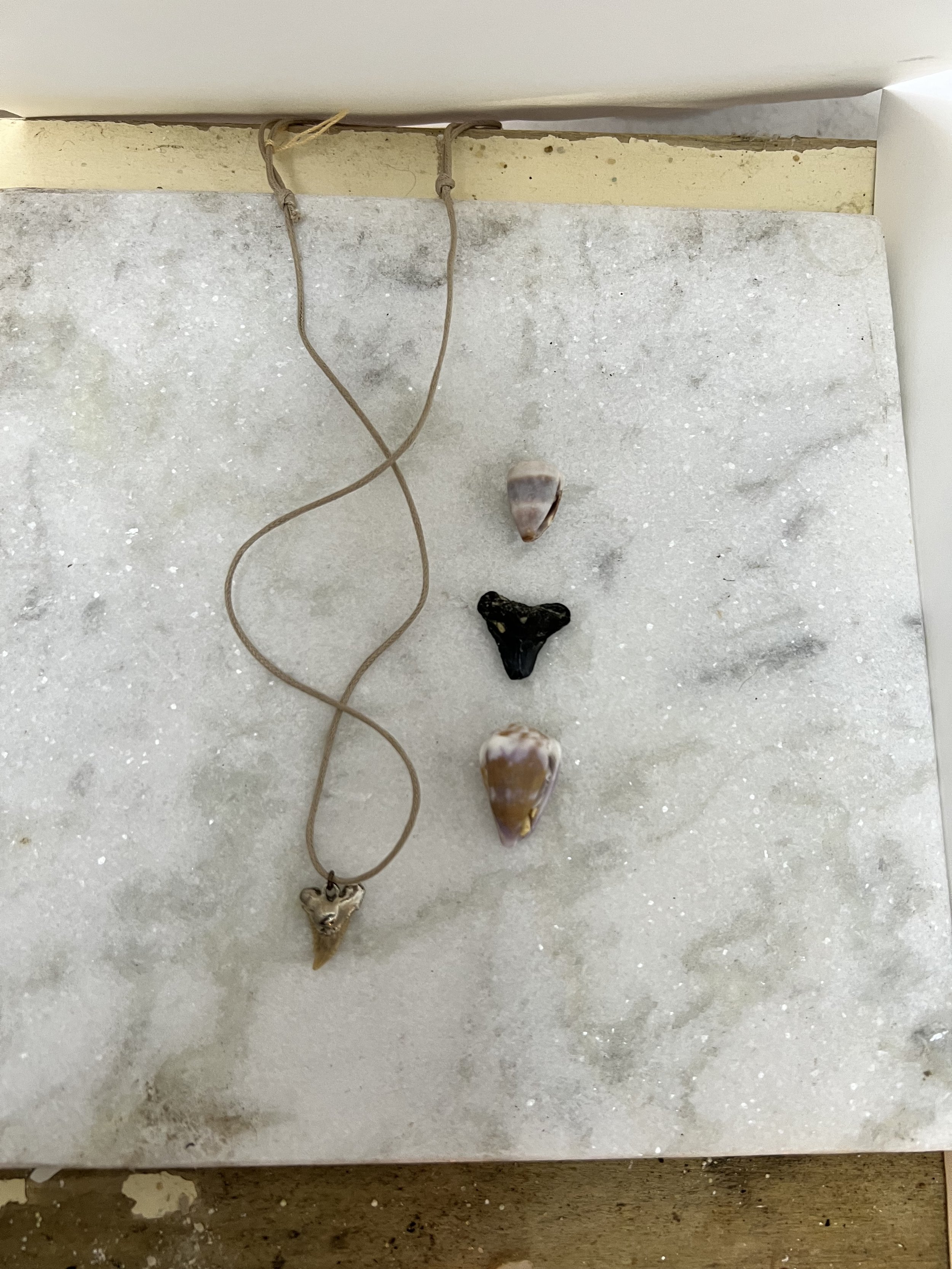 Shark's Tooth Necklace