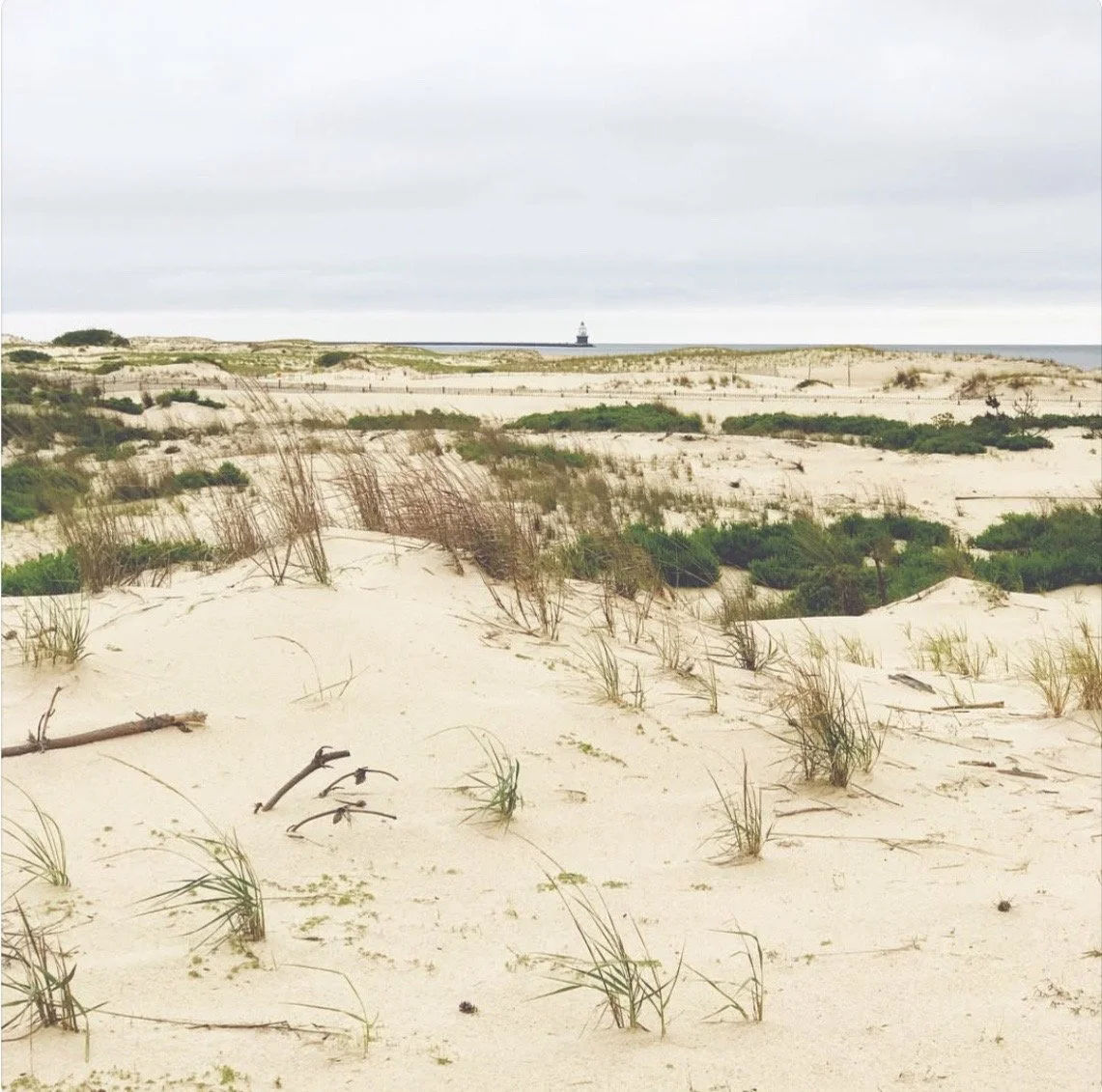 Salt + Stone Lewes, Delaware