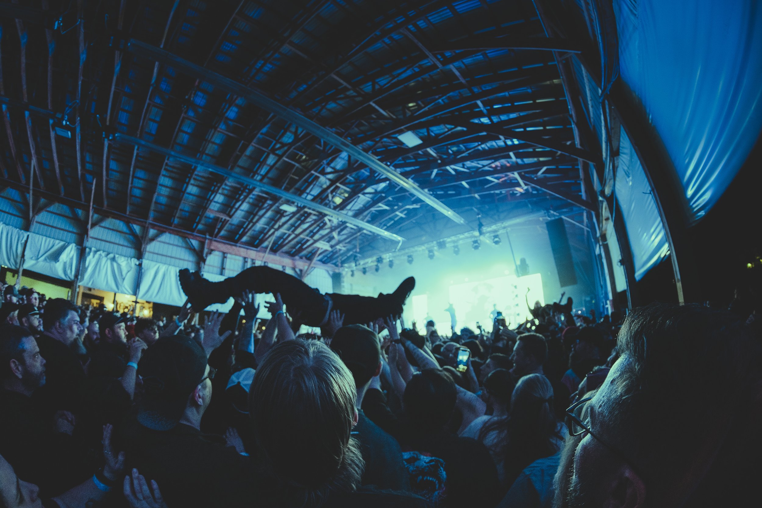LORNA SHORE SHARKEYS-0.jpg