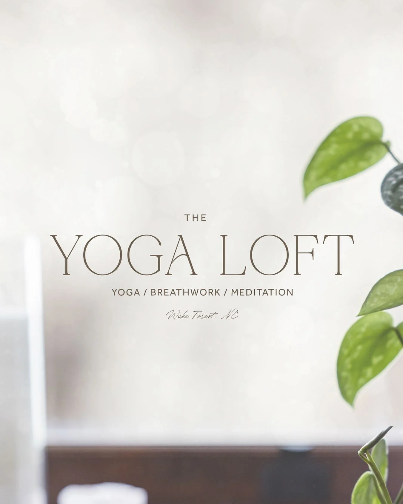✨ Community Celebration at The Yoga Loft ✨

This Friday, we&rsquo;re opening our doors to celebrate the final Friday Night on White 🎶

Come hang out with us at The Yoga Loft&mdash;windows open, music flowing in from downtown, and a cozy space to gat