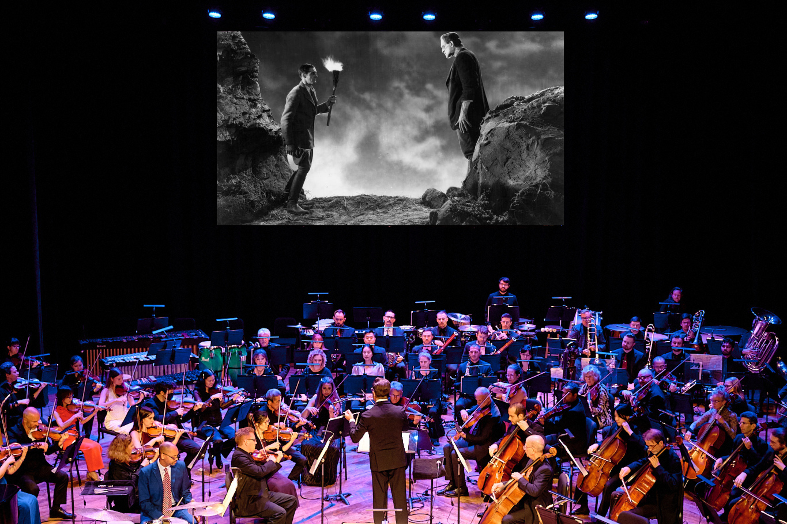 LPO with Screen.png