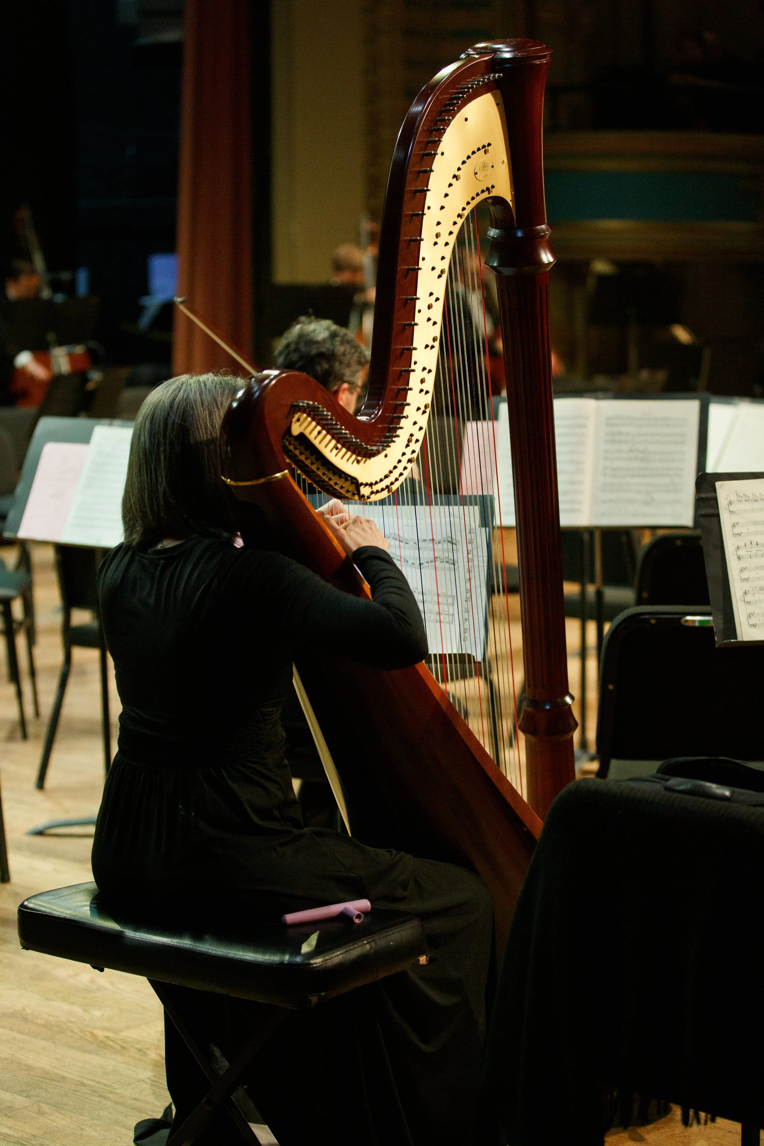 LPO-11.jpg