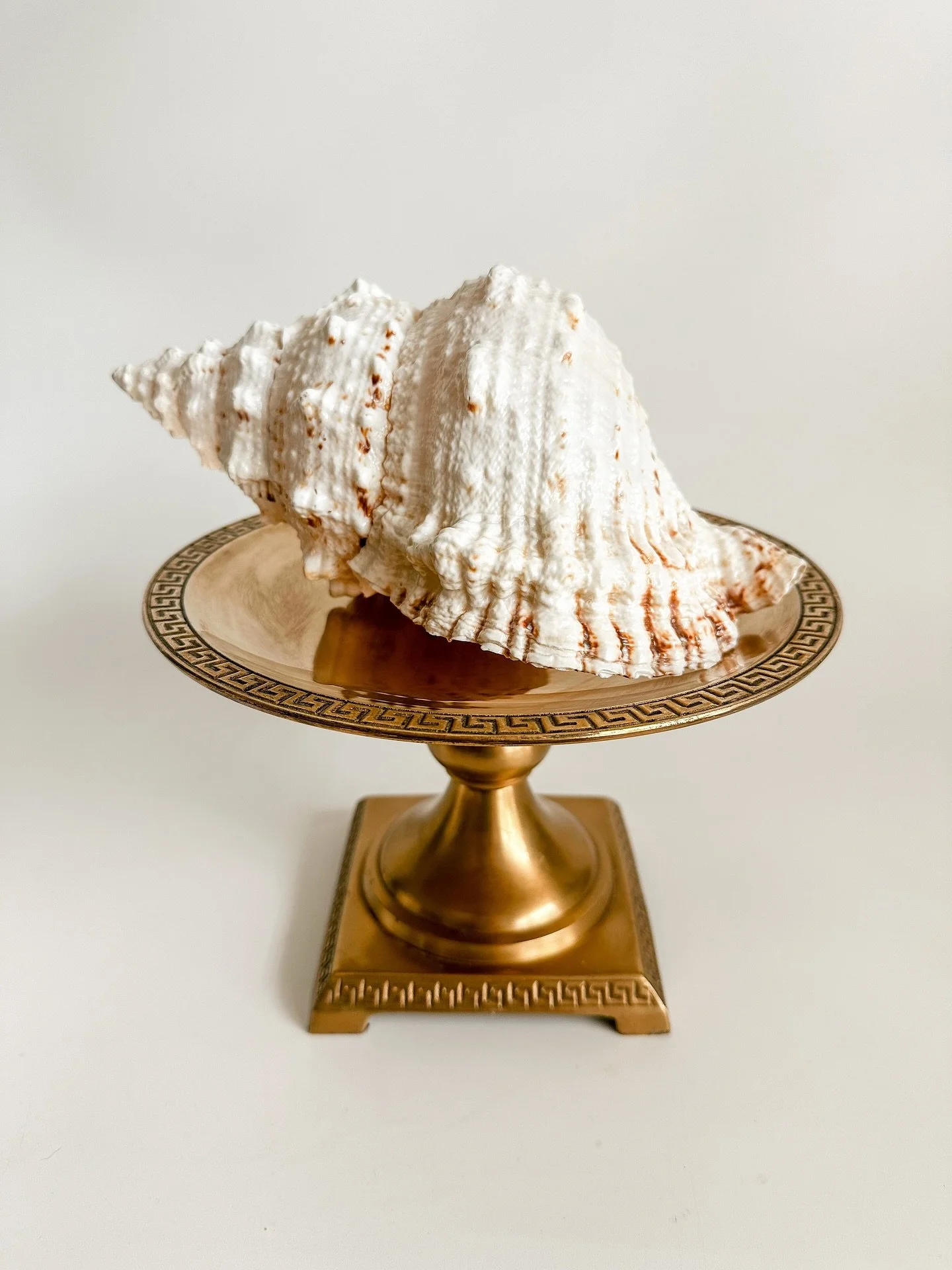 Think shells are just for summer decor? They actually make the perfect textured neutral accent piece for a bookshelf or coffee table in any season ✨
Frog shell and brass pedestal available at the link in bio 💙
#nauticaldecor #nauticalstyle #shelld
