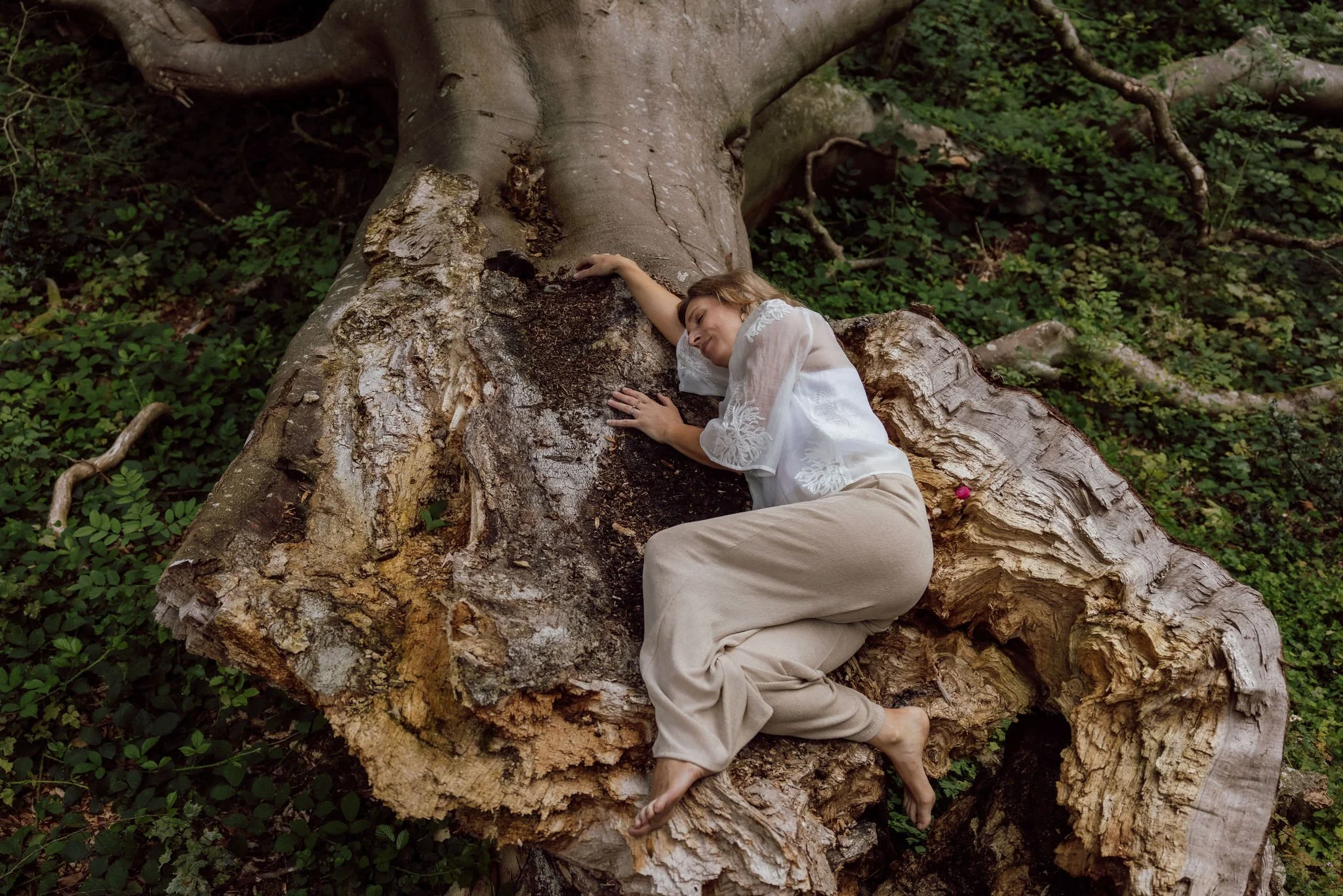 ✨ Wintering the Nervous System ✨
A 4-week Vagus Nerve Yoga Journey

As winter draws us inward to our roots, our bodies begin to whisper for stillness, softness, and space to breathe again.

Join me for Wintering the Nervous System &mdash; a 4-week Va