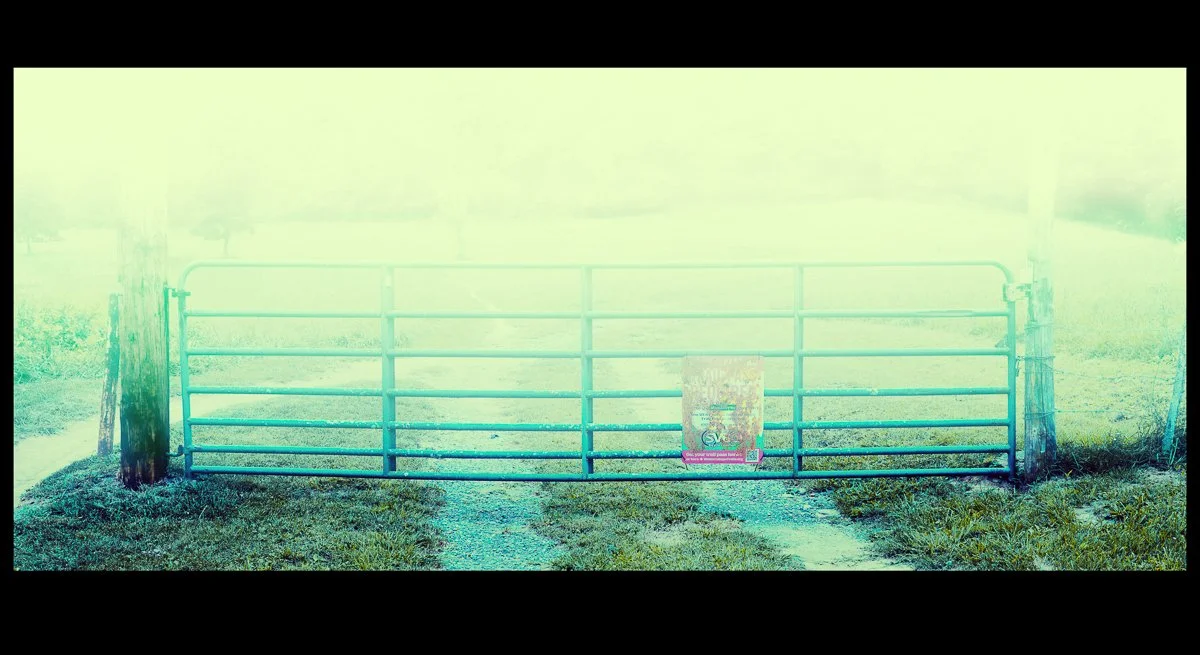 Fog