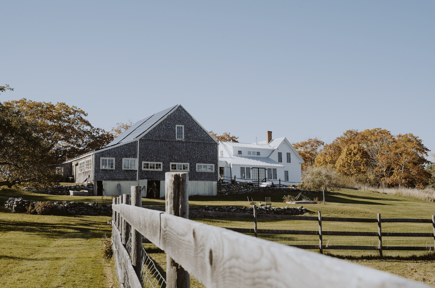 Screenshot+2024-07-16+at+3.29.01+PM.webp (Copy) (Copy)