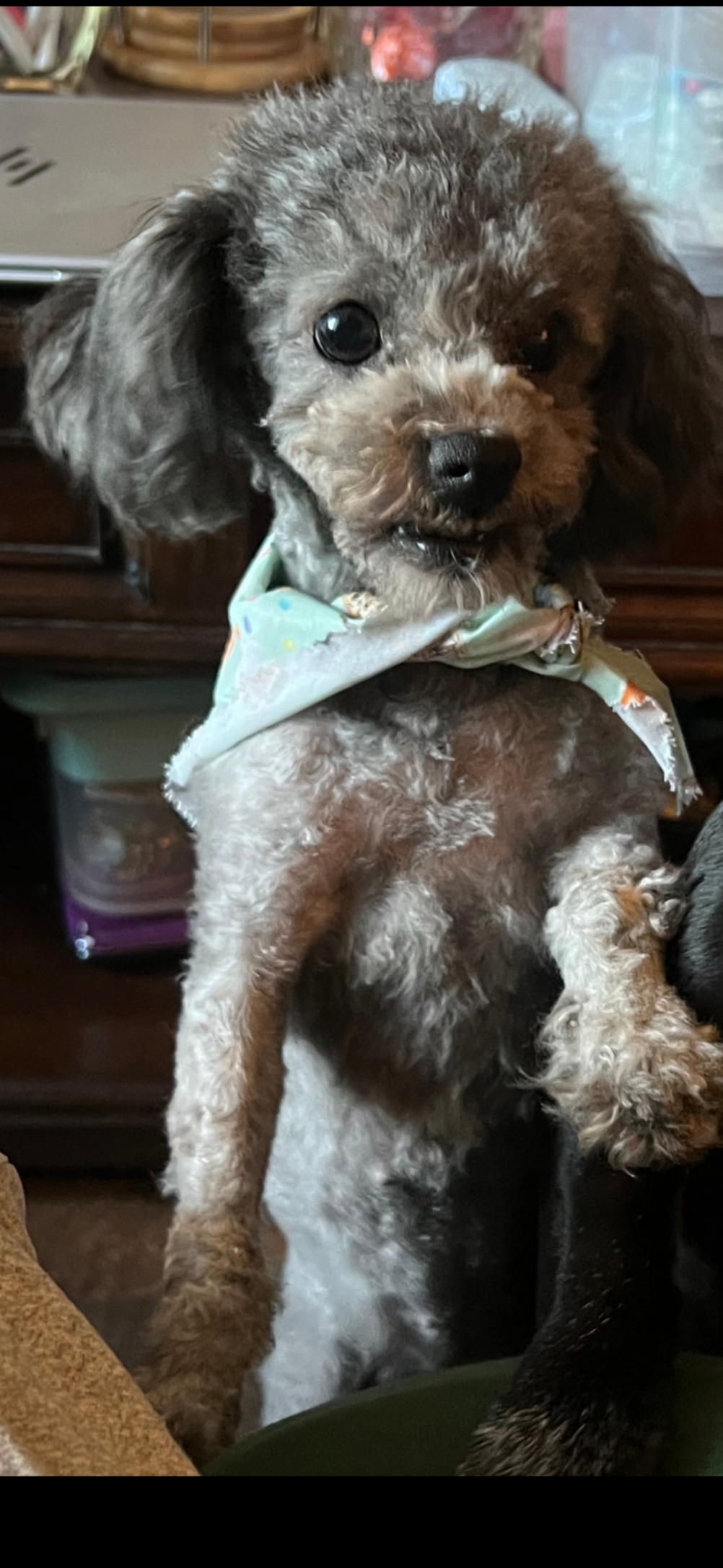 Precious