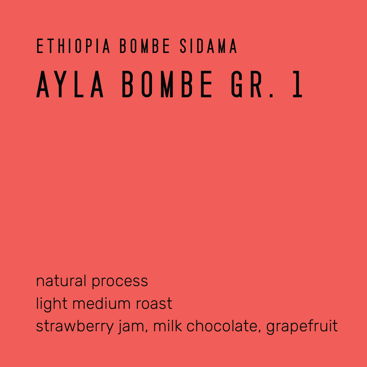 Ayla Bombe Gr. 1