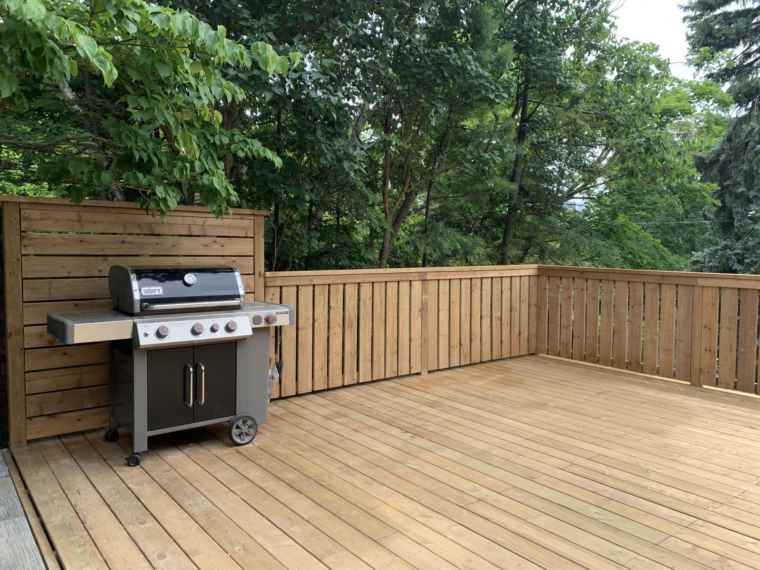 deck pic 25.jpeg