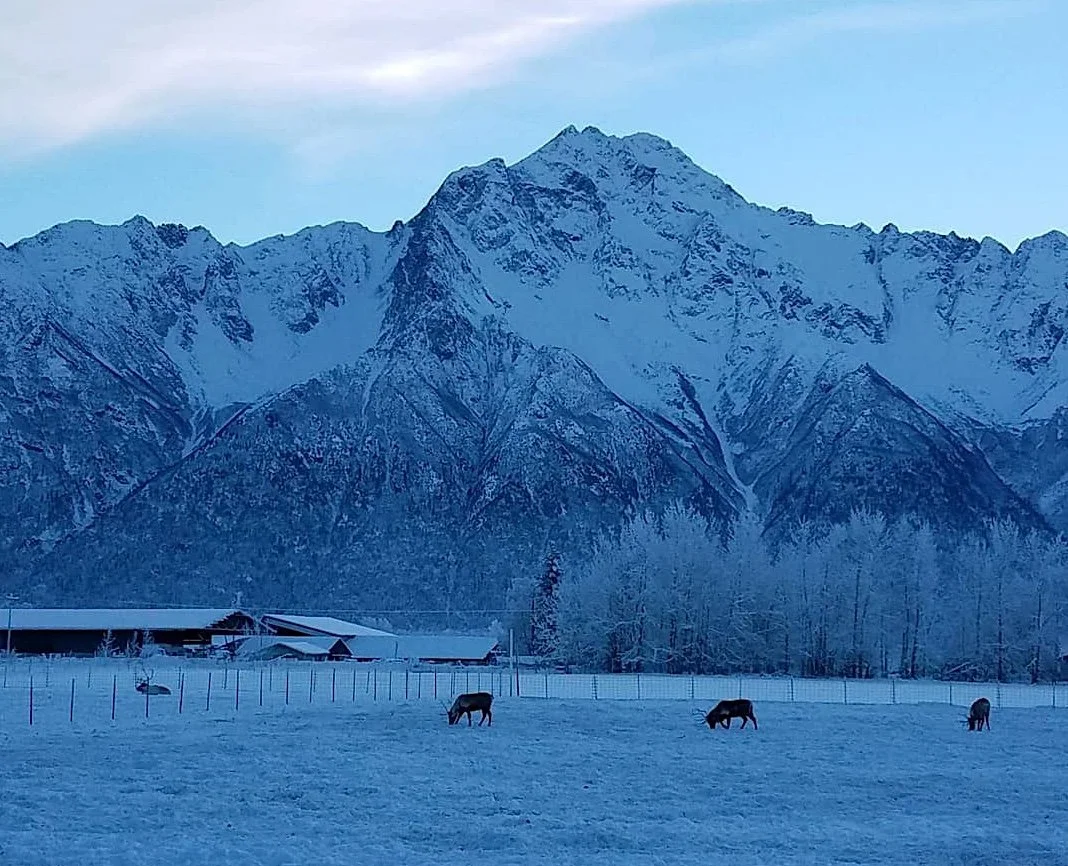Storing Your Motorcycle for Winter in Alaska