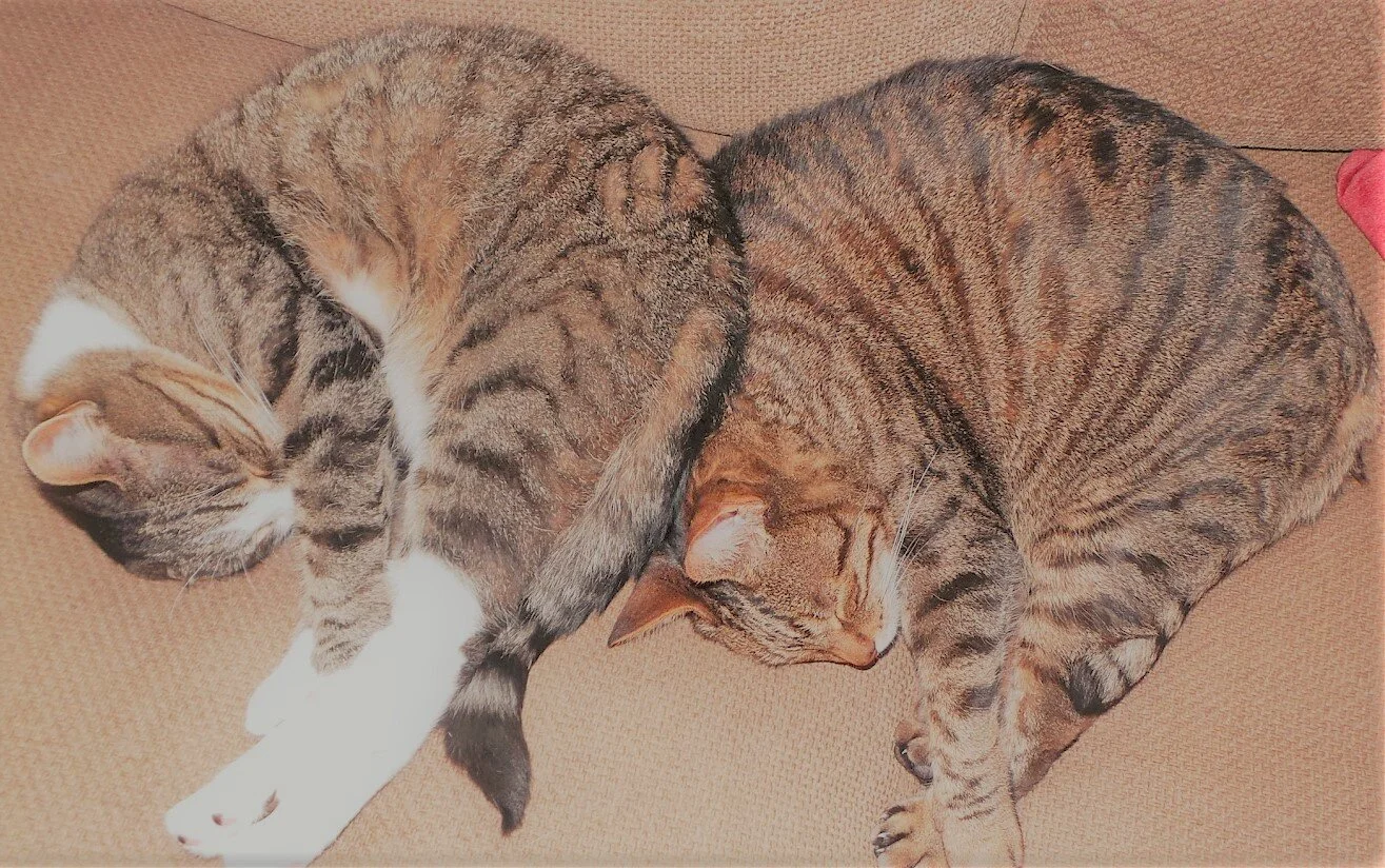 hueyandvinny (2).JPG