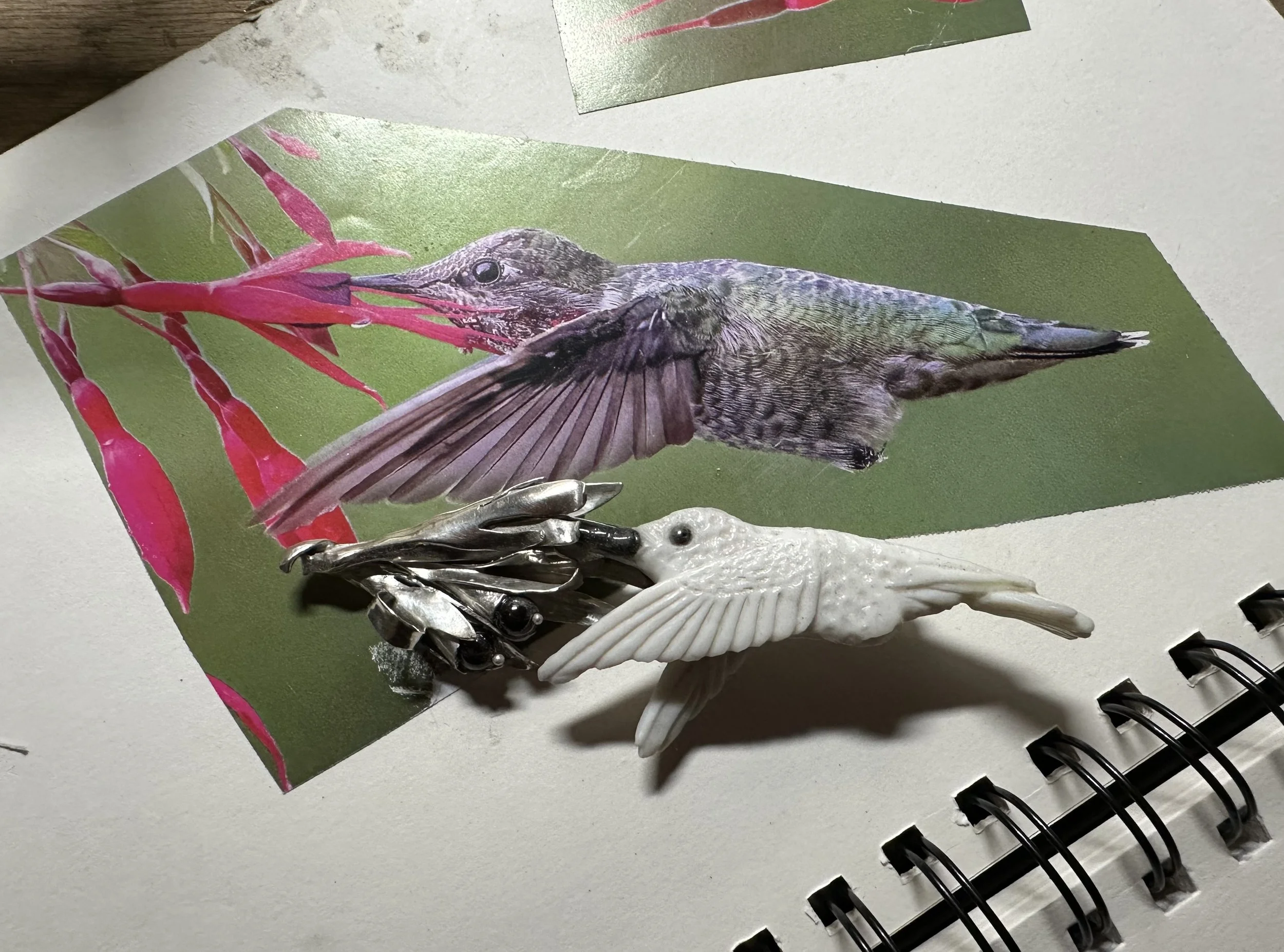 Thirsty Hummingbird inspiration.jpeg