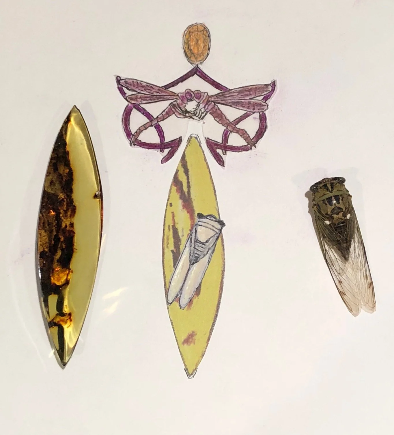 Dragonfly Amber Waterbuffalo Necklace_1.jpg