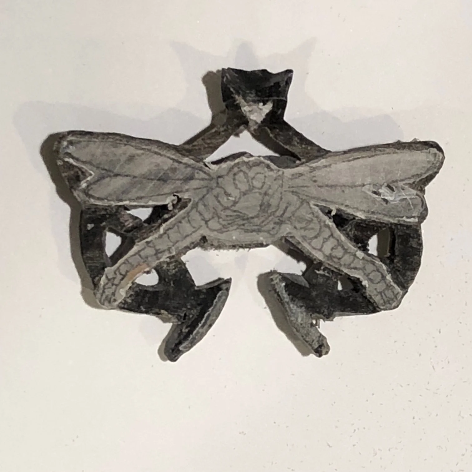 Dragonfly Amber Waterbuffalo  a.jpeg