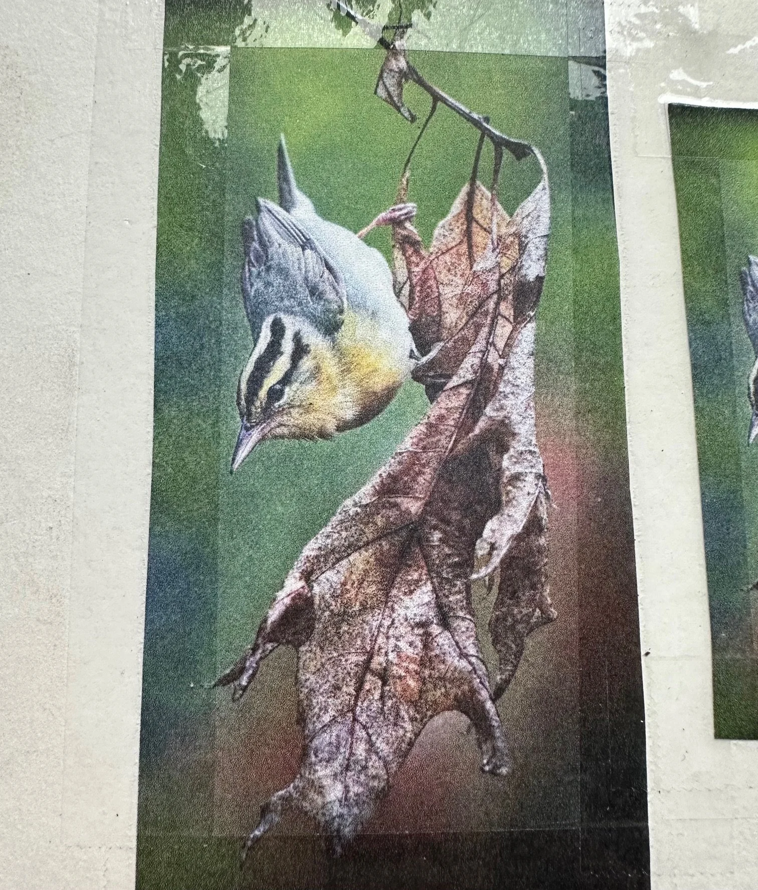 Worm Eating Warbler Brooch_1.jpg